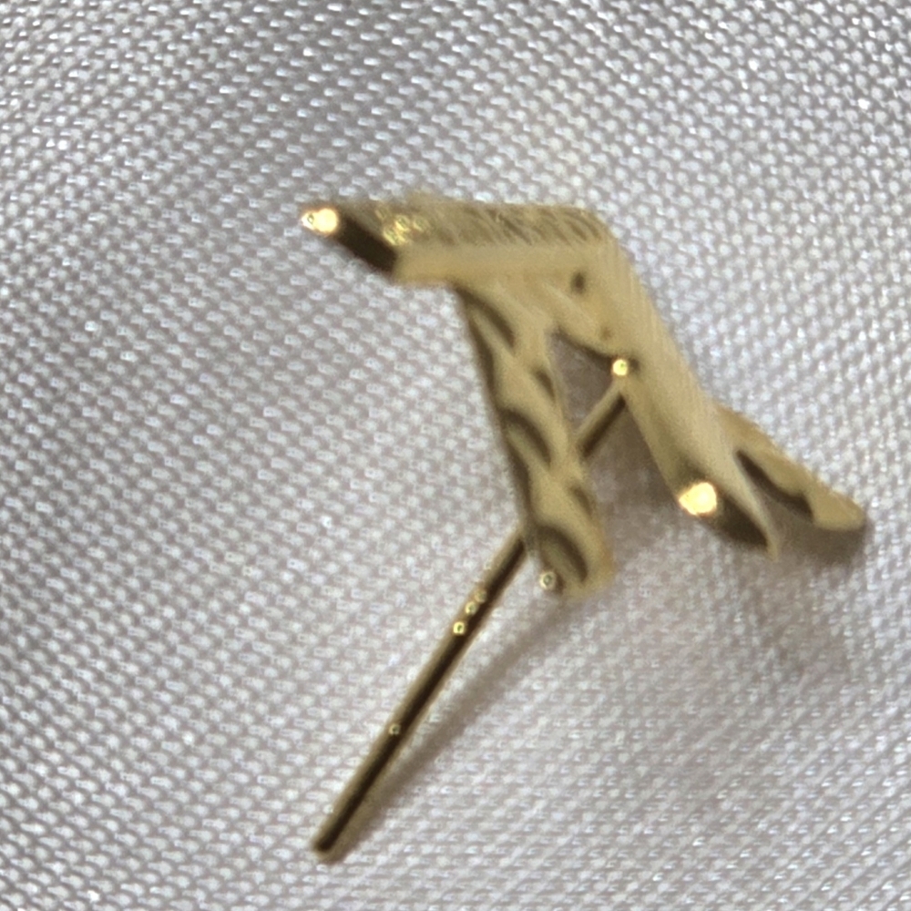 LV Gold Earrings - Picture 12 of 13